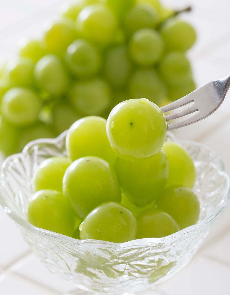 TOBIFRU とびっきりフルーツ