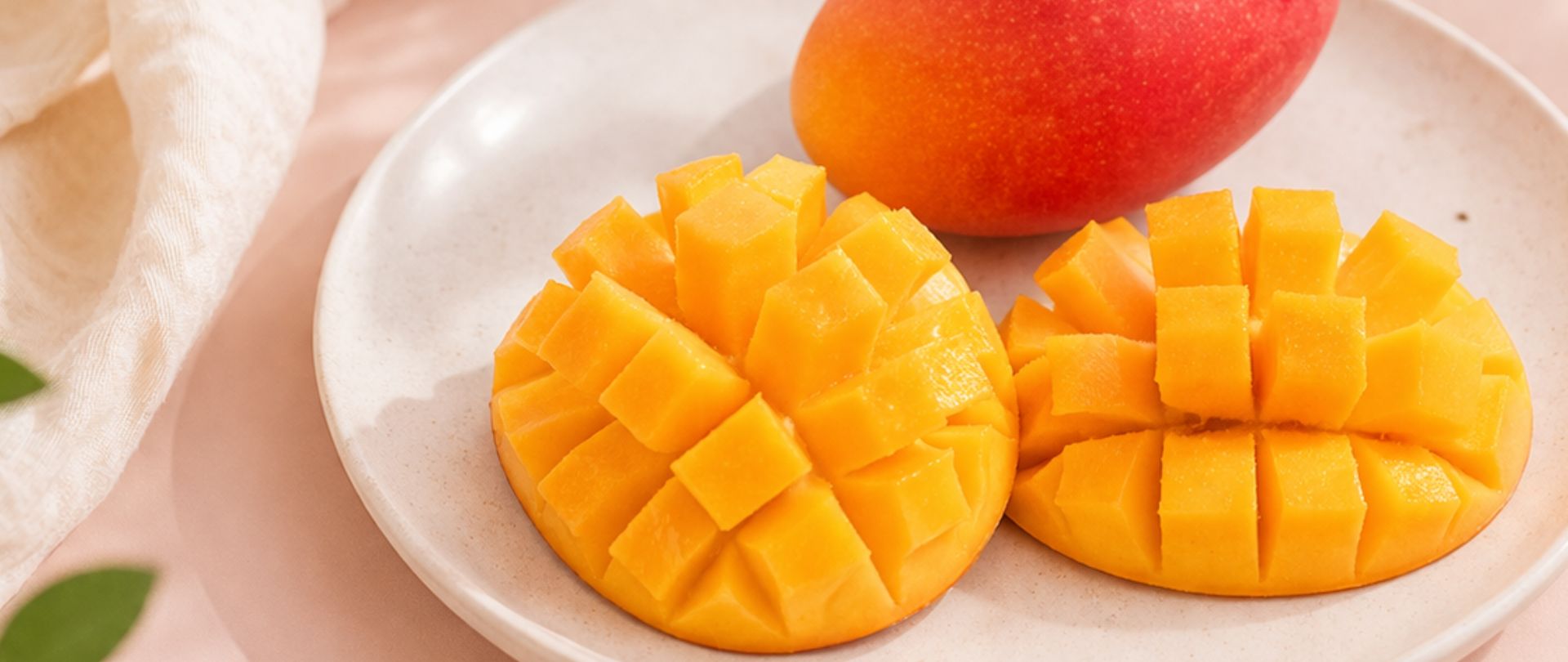 TOBIFRU とびっきりフルーツ