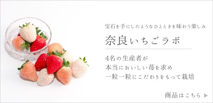 奈良いちごラボ
