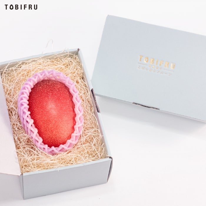 【大玉】宮崎県産 完熟マンゴー 1玉入り