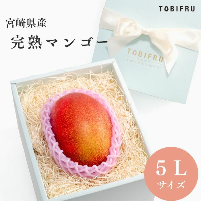 【超大玉】宮崎県産 完熟マンゴー 1玉入り