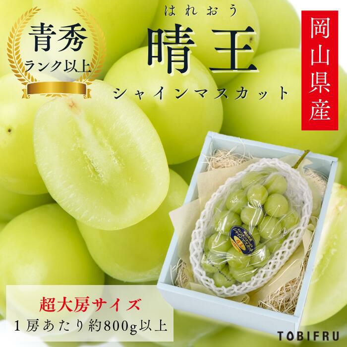 【超大房】岡山県産 シャインマスカット晴王 1房入り