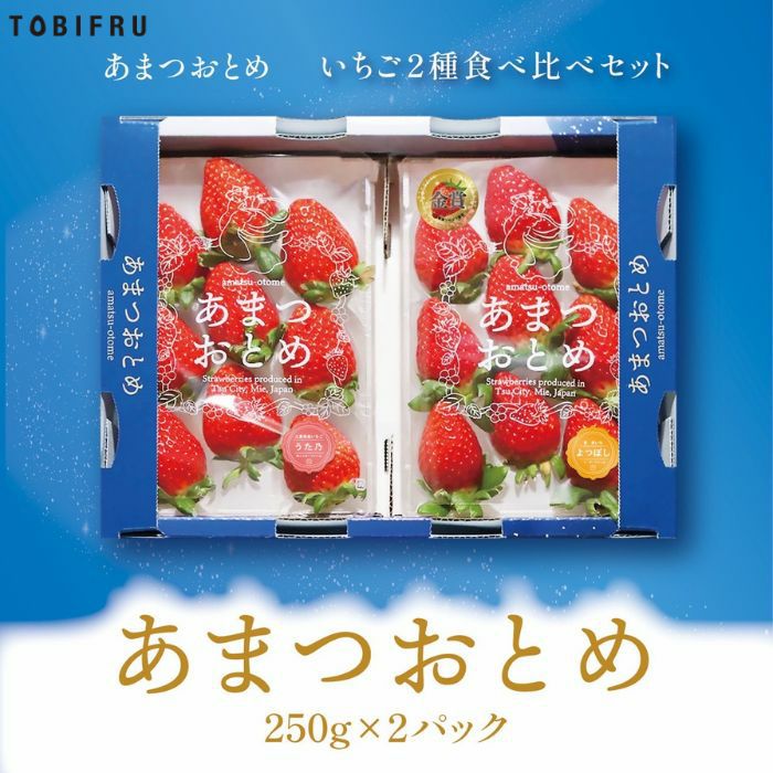 三重県津市産いちご あまつおとめ いちご2種食べ比べセット | TOBIFRU