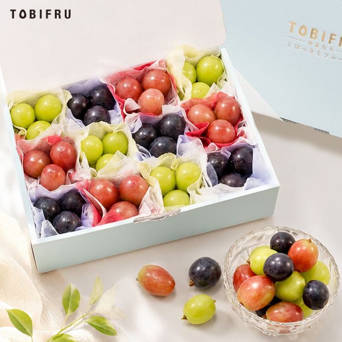 【食べ比べ】皮ごと種なし ぶどうの宝石箱