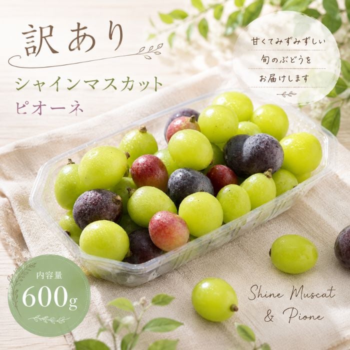 【ご家庭用】訳ありぶどう詰め合わせ （パック）